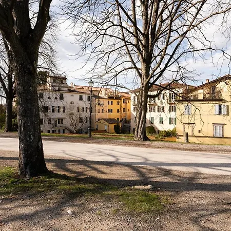 La Terrazza Di Sofia Lucca