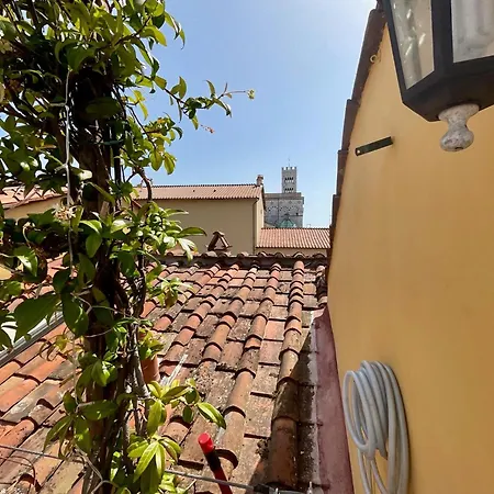 La Terrazza Di Sofia Lucca