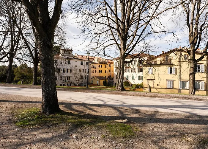 La Terrazza Di Sofia Lucca